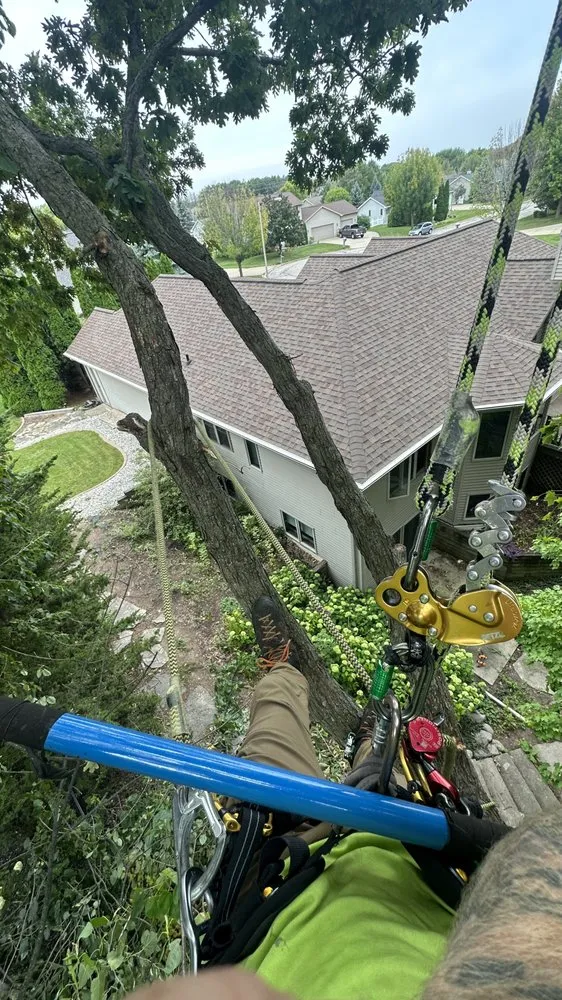 Expert landscaping services in Green Bay, WI by Ascension landscape & Tree service