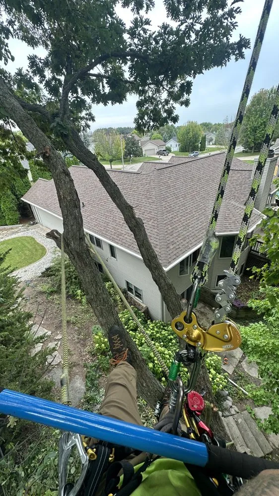 Top-rated landscape installation experts serving Green Bay, WI - Ascension landscape & Tree service