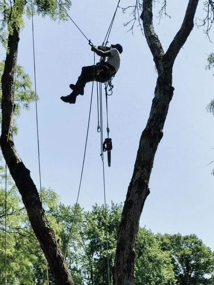 Expert residential landscaping in Green Bay, WI by Ascension landscape & Tree service
