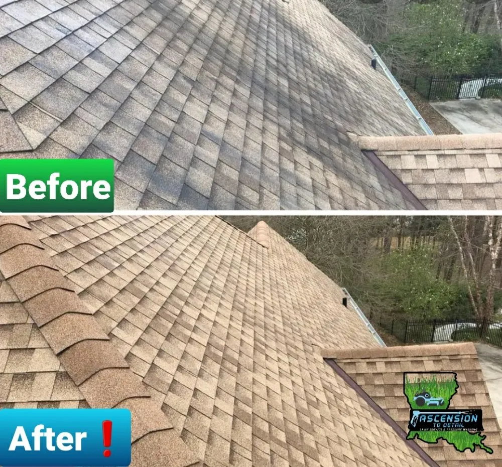 Trusted garden landscaping in Gonzales, LA - Ascension To Detail