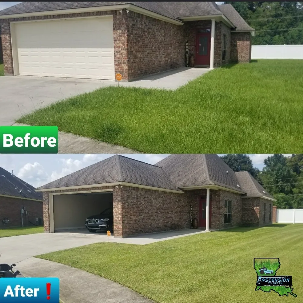 Expert lawn care service in Gonzales, LA - Ascension To Detail