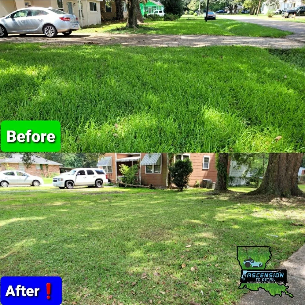 Professional lawn mowing service for homes in Gonzales, LA by Ascension To Detail