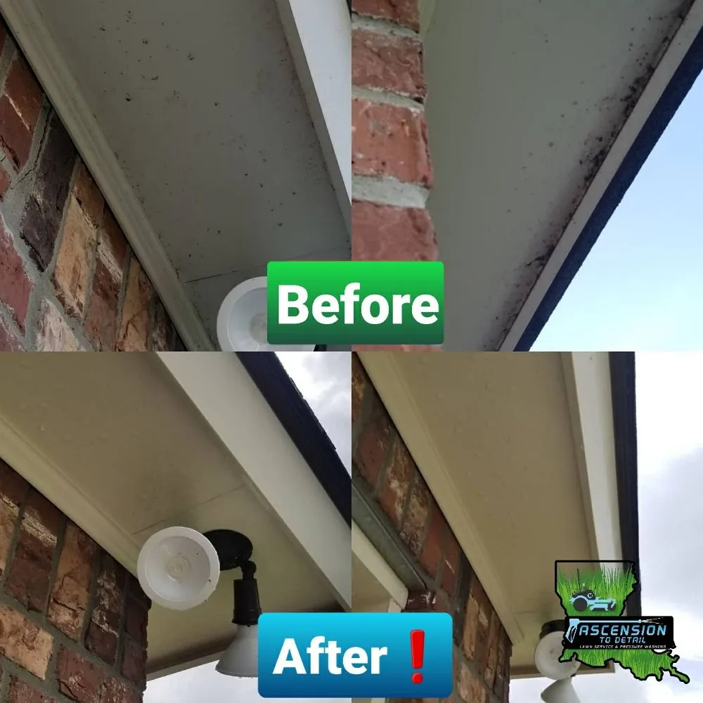 Expert yard maintenance in Gonzales, LA - Ascension To Detail