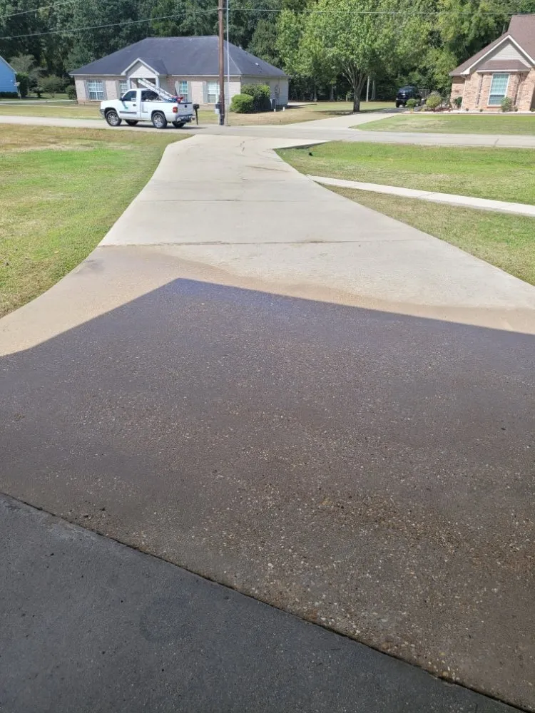 Expert yard cleanup service in Gonzales, LA - Ascension To Detail