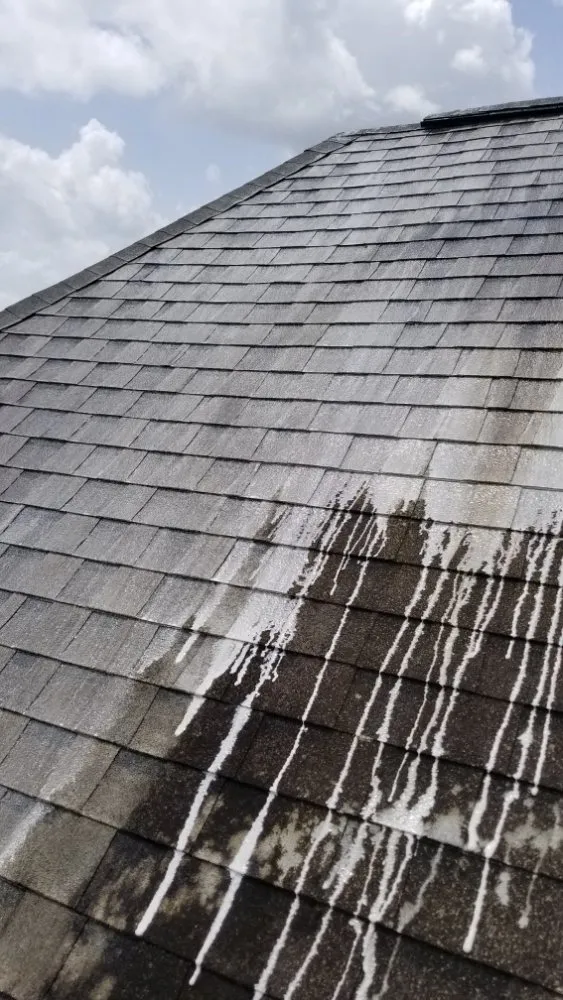 Top-rated outdoor landscaping for residential properties in Gonzales, LA by Ascension To Detail