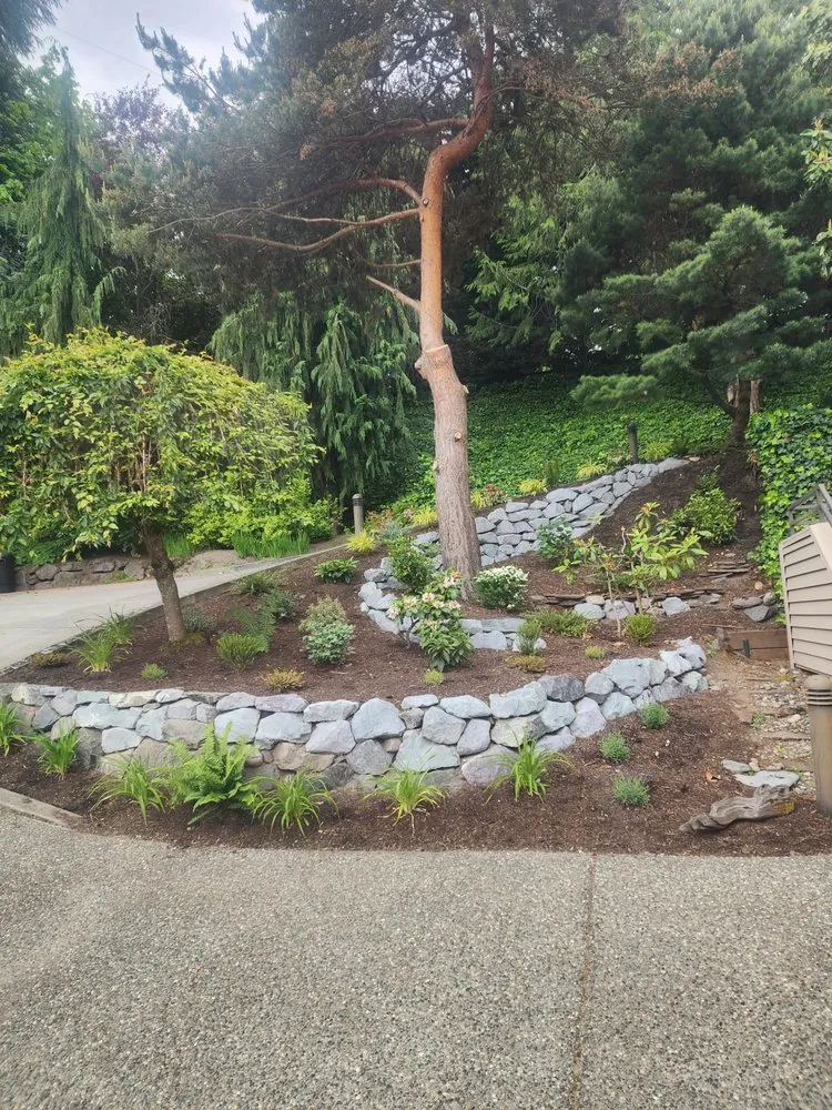Trusted yard cleanup service with custom design across Seattle, WA - Ascent Landscaping