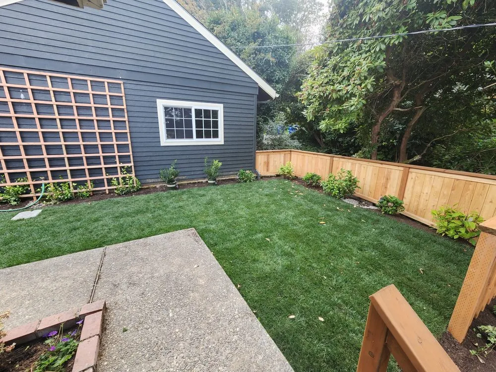 Professional landscaping services experts serving Seattle, WA - Ascent Landscaping