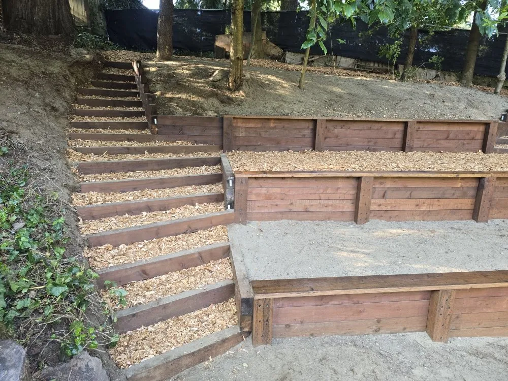 Professional landscaping services experts serving Seattle, WA - Ascent Landscaping