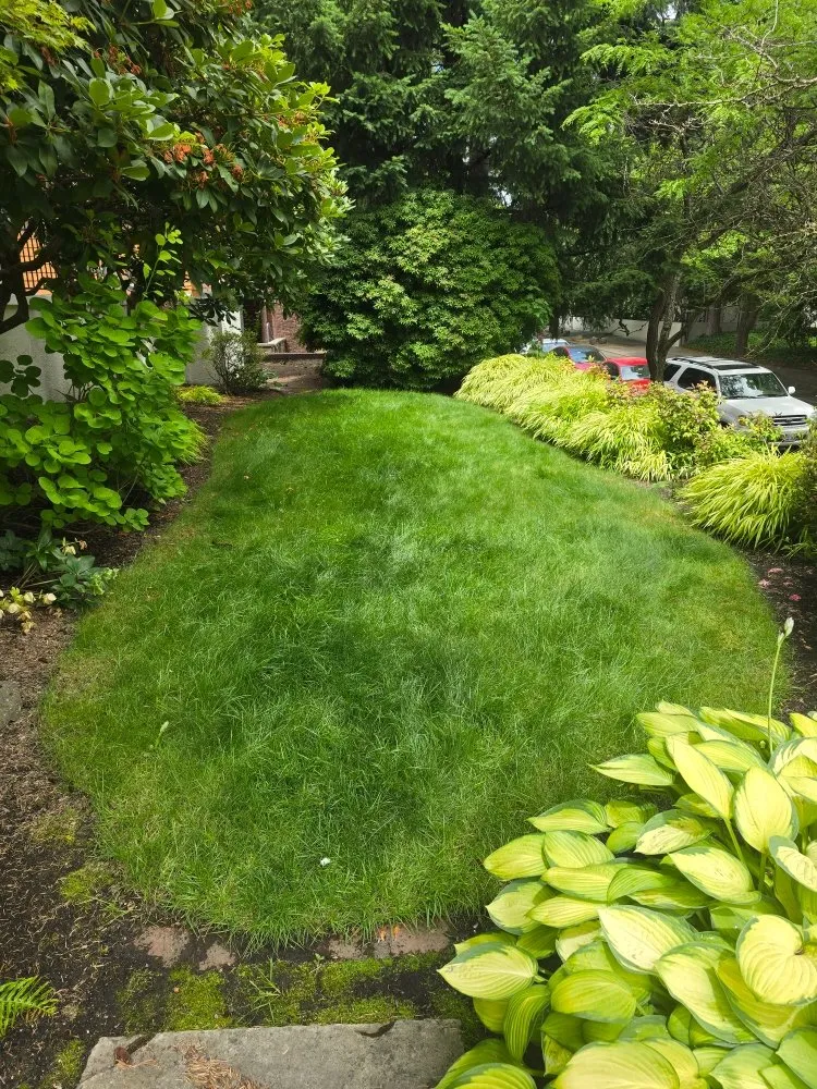 Reliable landscaping services for residential properties across Seattle, WA - Ascent Landscaping