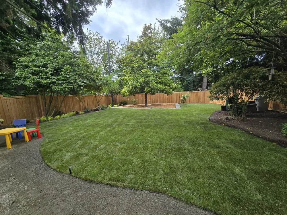 Reliable landscaping services for year-round maintenance in Seattle, WA by Ascent Landscaping