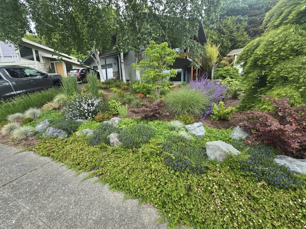 Professional lawn mowing service in Seattle, WA - Ascent Landscaping