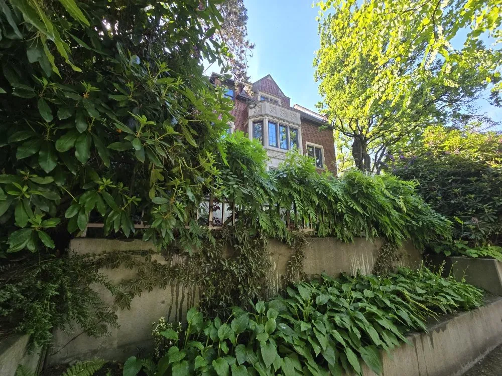 Top-rated lawn mowing service in Seattle, WA - Ascent Landscaping