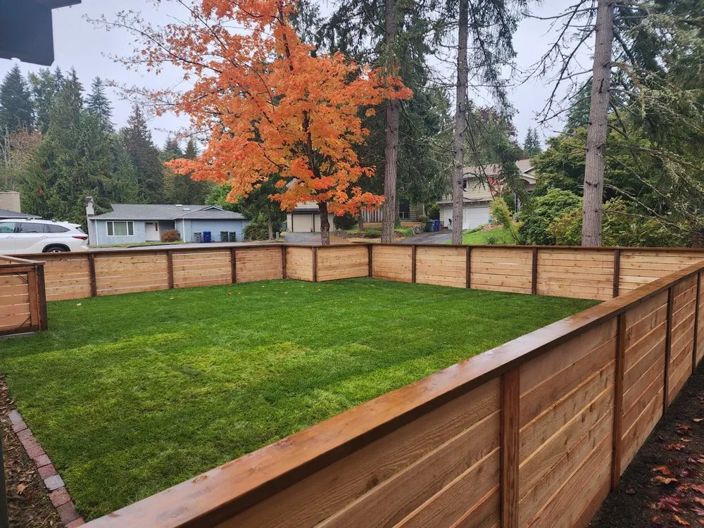 Top-rated lawn care service experts serving Seattle, WA - Ascent Landscaping