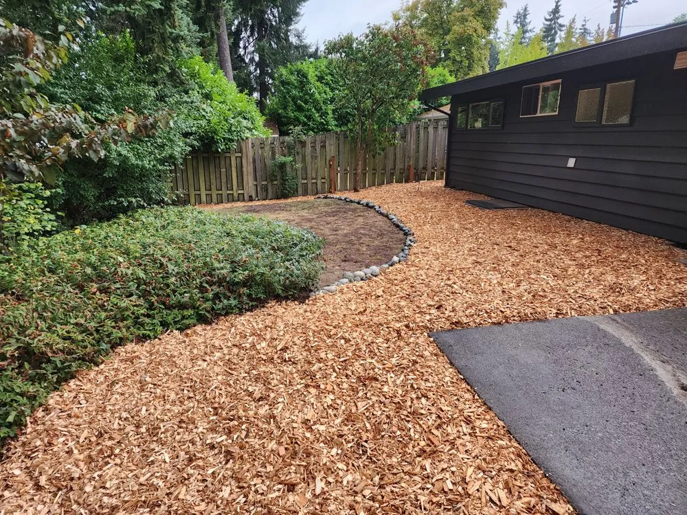 Trusted yard cleanup service in Seattle, WA - Ascent Landscaping