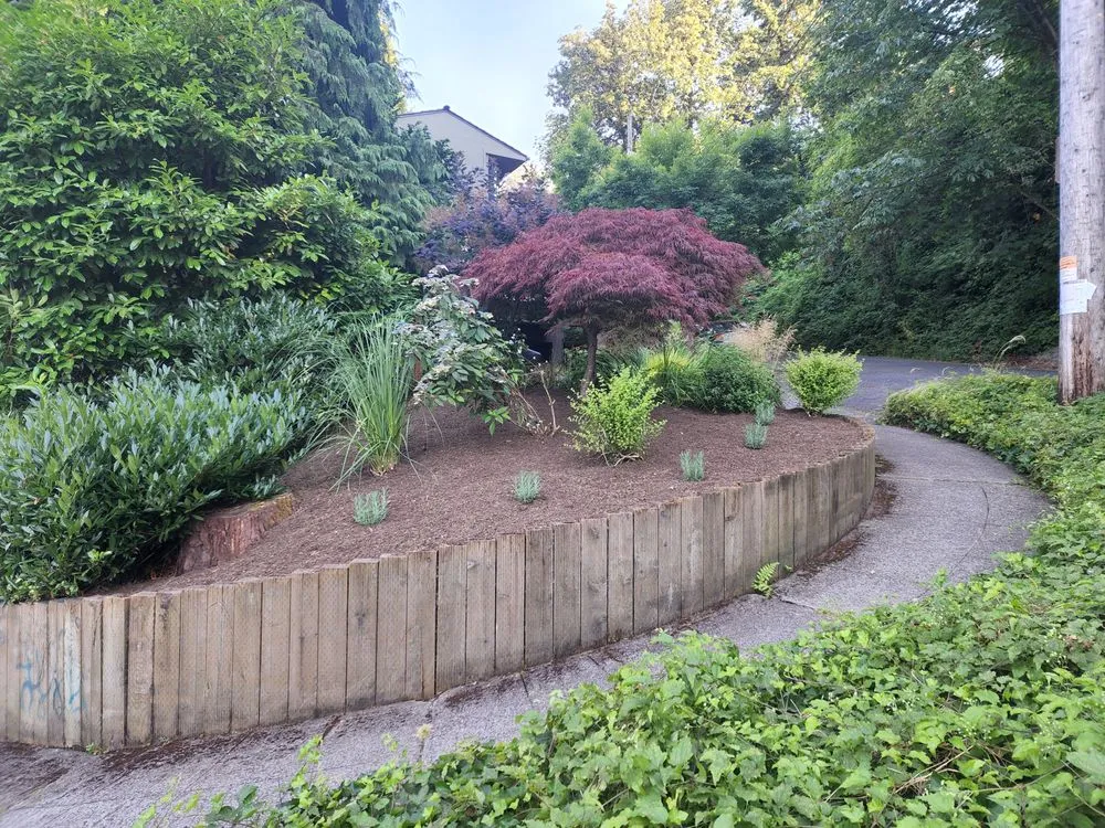 Top-rated landscaping services for homes in Seattle, WA by Ascent Landscaping
