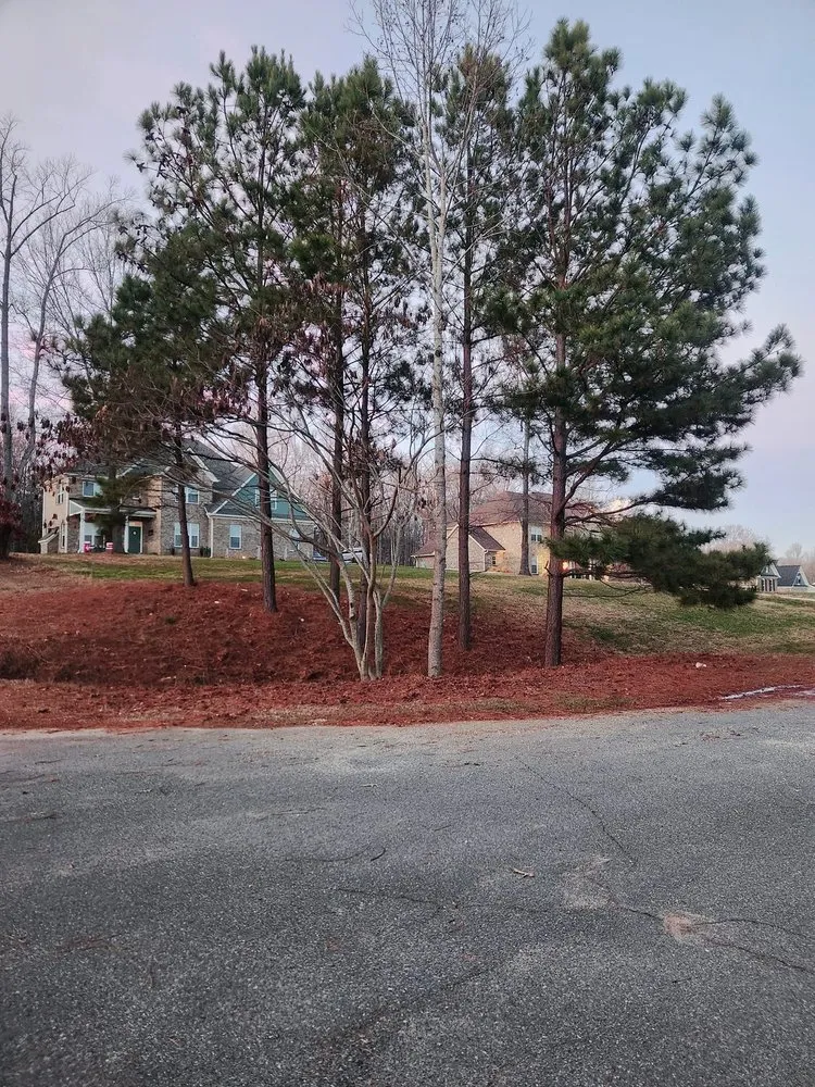 Reliable outdoor landscaping for residential properties in Rock Hill, SC by Ascentree