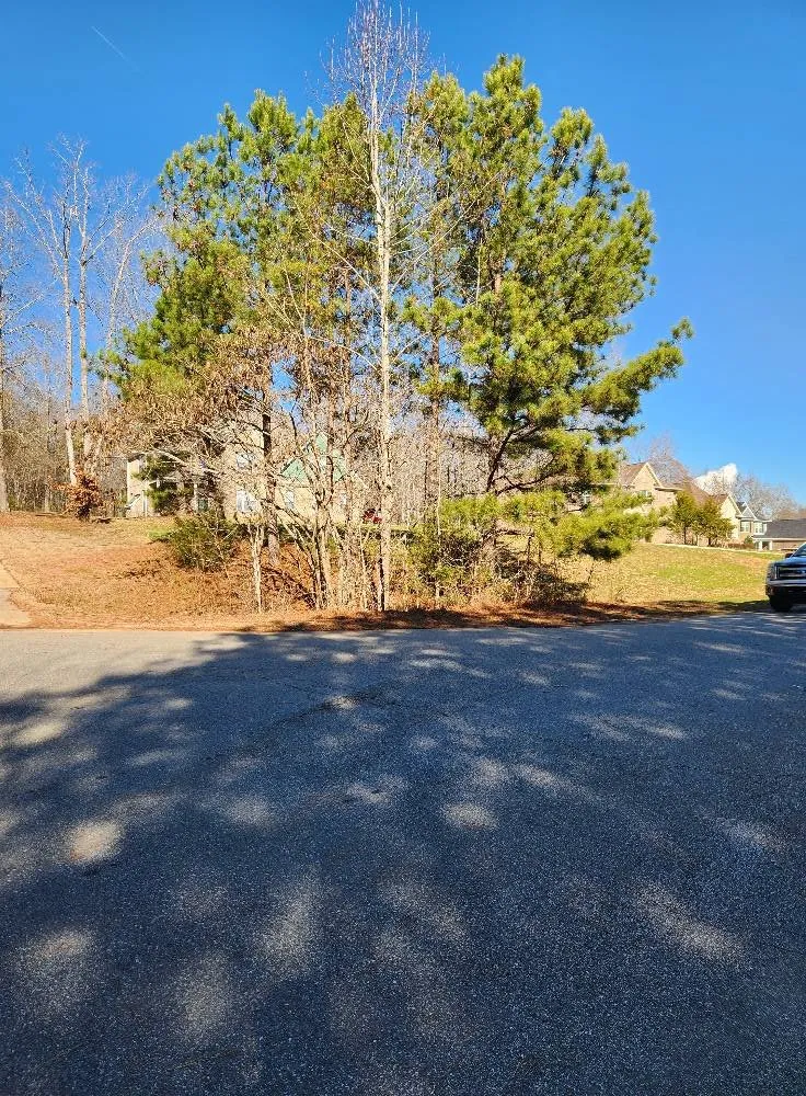 Local yard cleanup service experts serving Rock Hill, SC - Ascentree