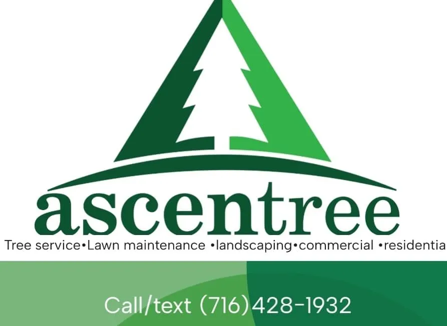 Expert lawn care service in Rock Hill, SC - Ascentree