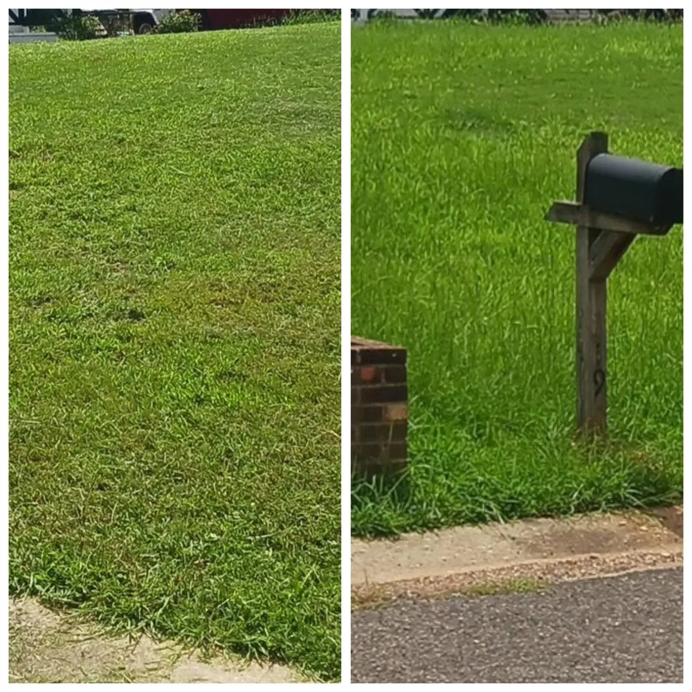 Local landscape design in Pinson, AL - ASD lawncare