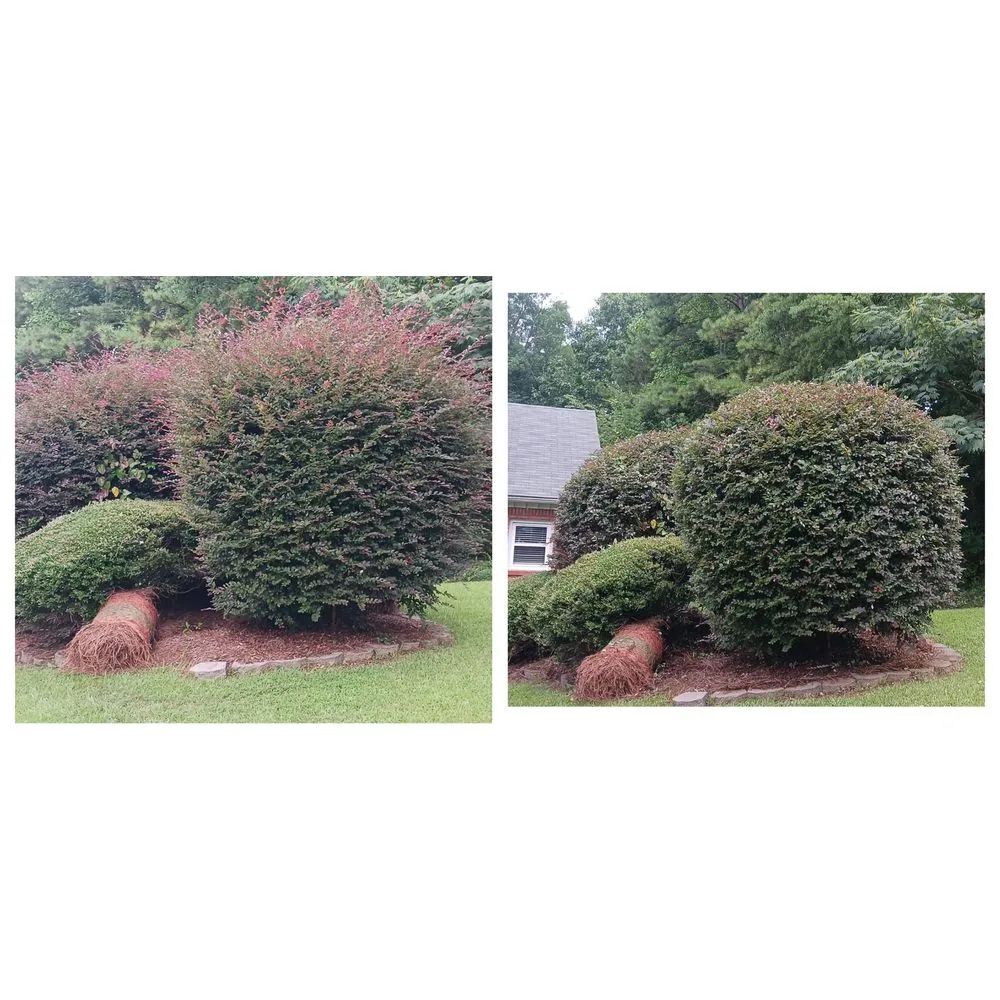 Top-rated outdoor landscaping for residential properties across Pinson, AL - ASD lawncare