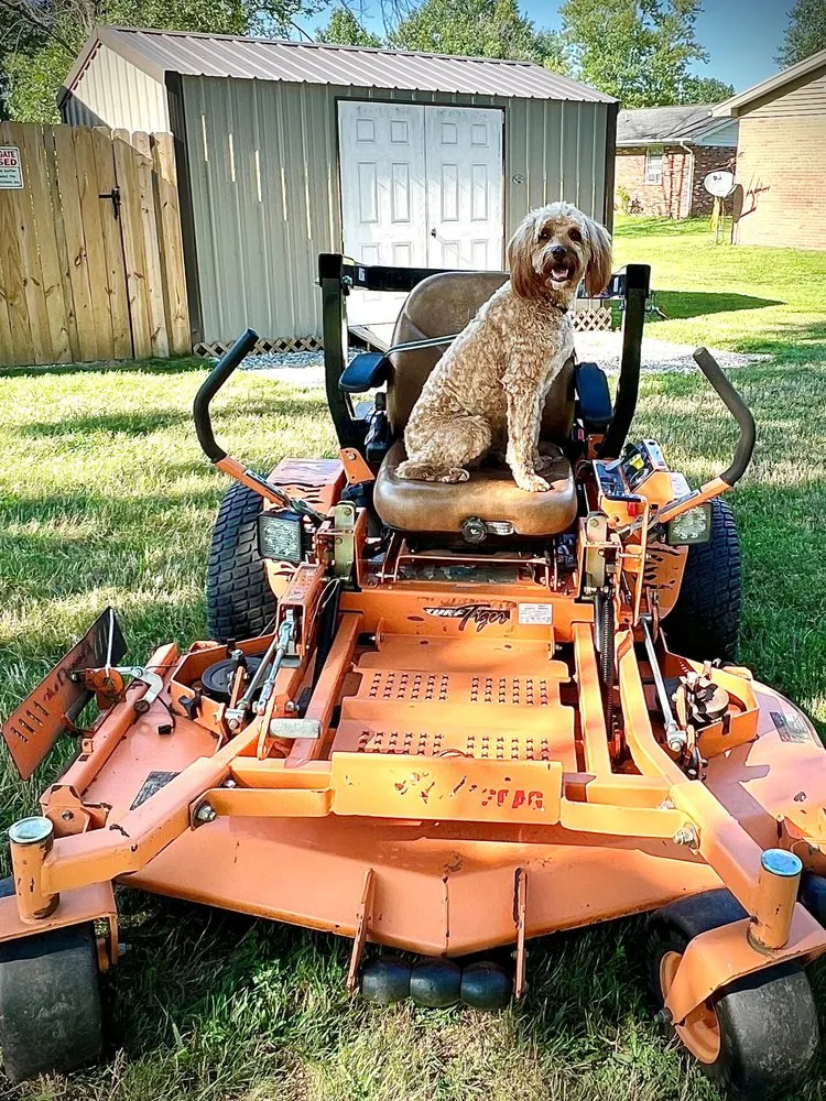 Professional landscape installation for beautiful yards across Chandler, IN - ASDK Services