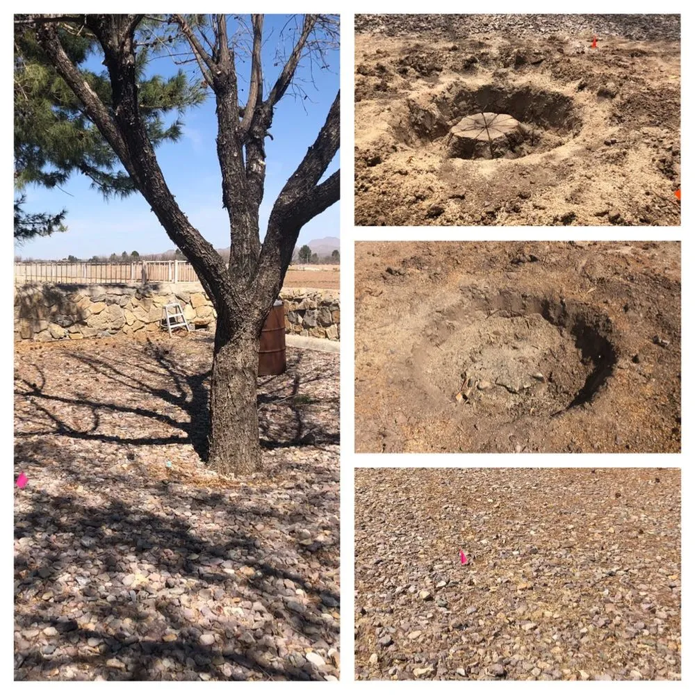 Top-rated yard maintenance experts serving Las Cruces, NM - ASE Construction