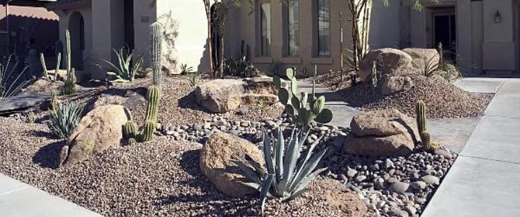 Affordable yard cleanup service in Las Cruces, NM by ASE Construction