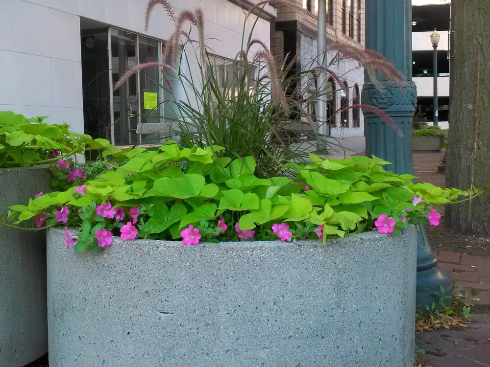 Professional yard maintenance in Romeoville, IL - ASE Illini-Scapes