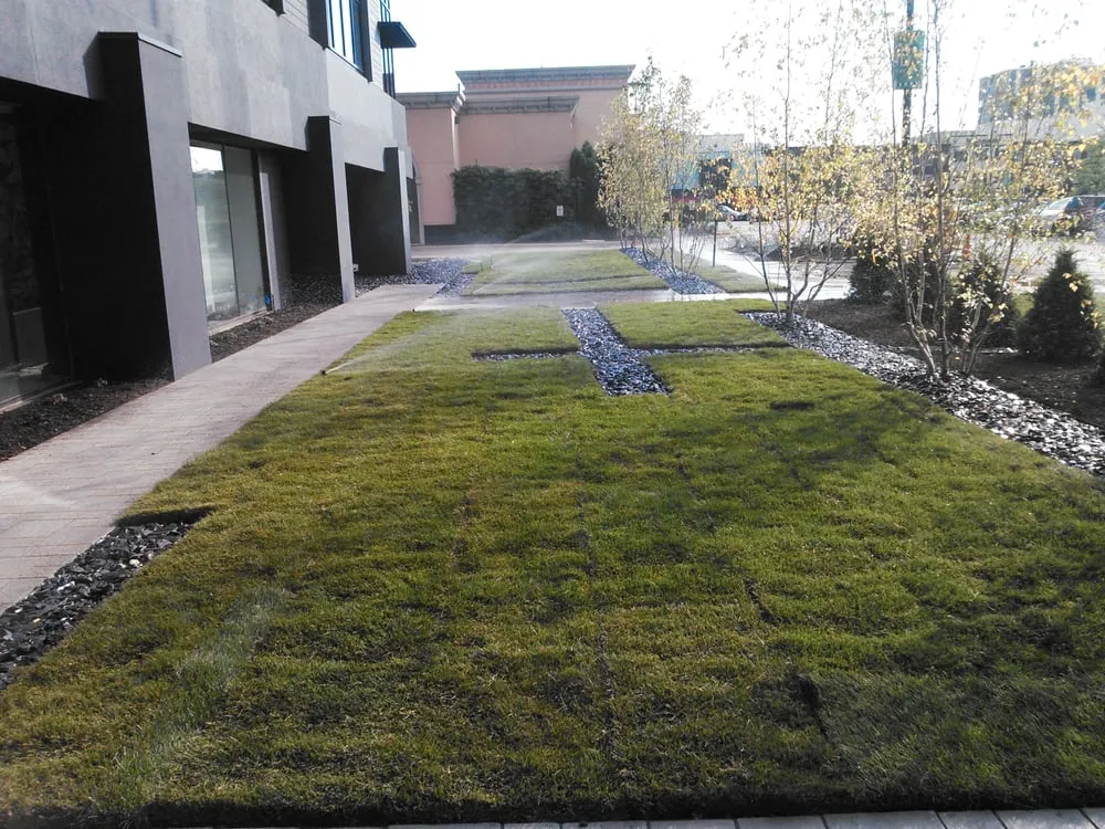 Affordable lawn mowing service in Romeoville, IL - ASE Illini-Scapes