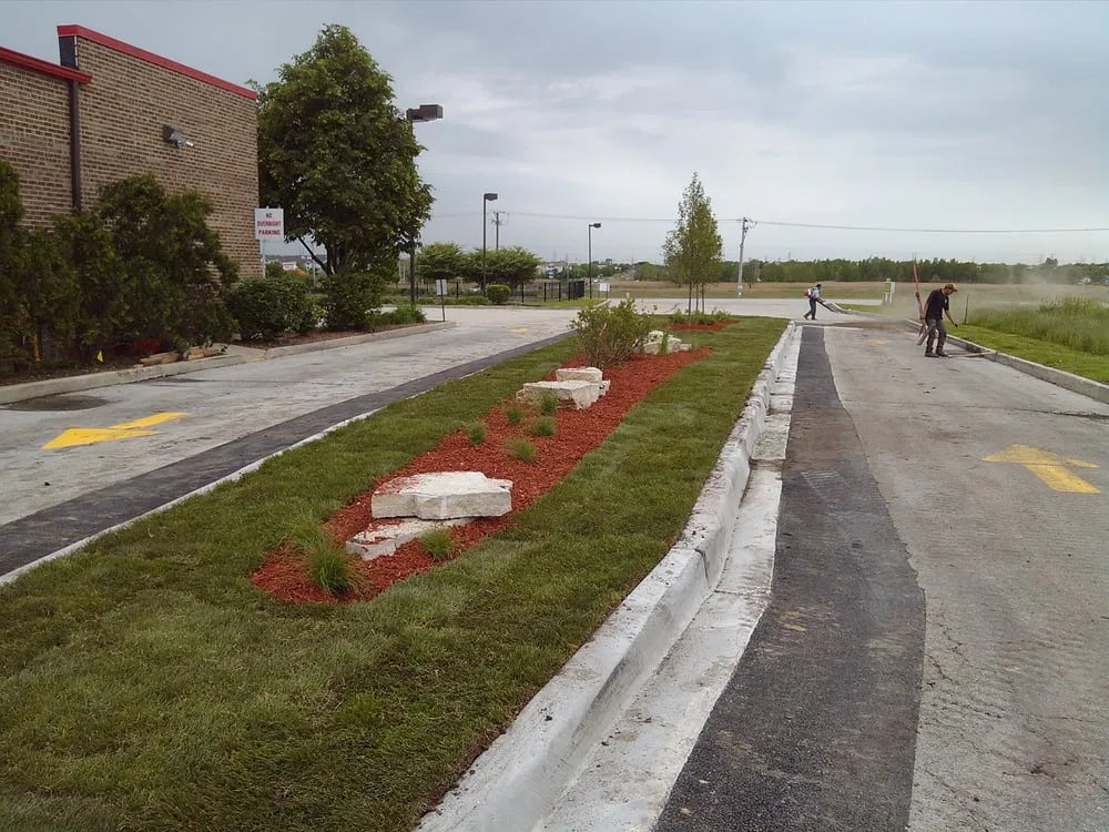 Affordable yard cleanup service in Romeoville, IL - ASE Illini-Scapes