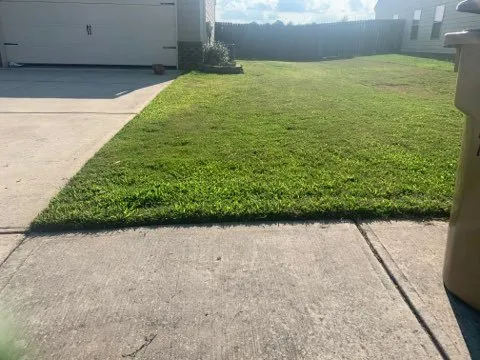 Trusted landscaping services for year-round maintenance across Hampton, GA - Ase’ Lawn Care