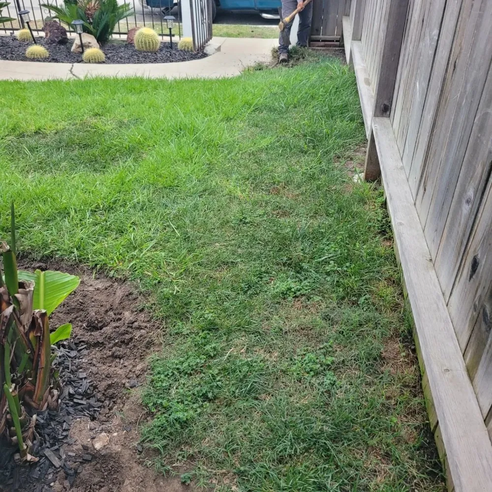 Professional lawn mowing service in Westminster, CA - Asencion Landscape