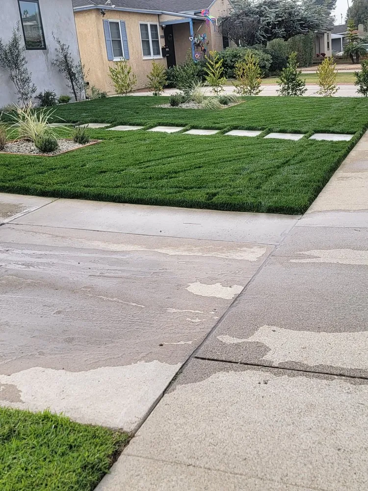 Local landscape design in Westminster, CA by Asencion Landscape