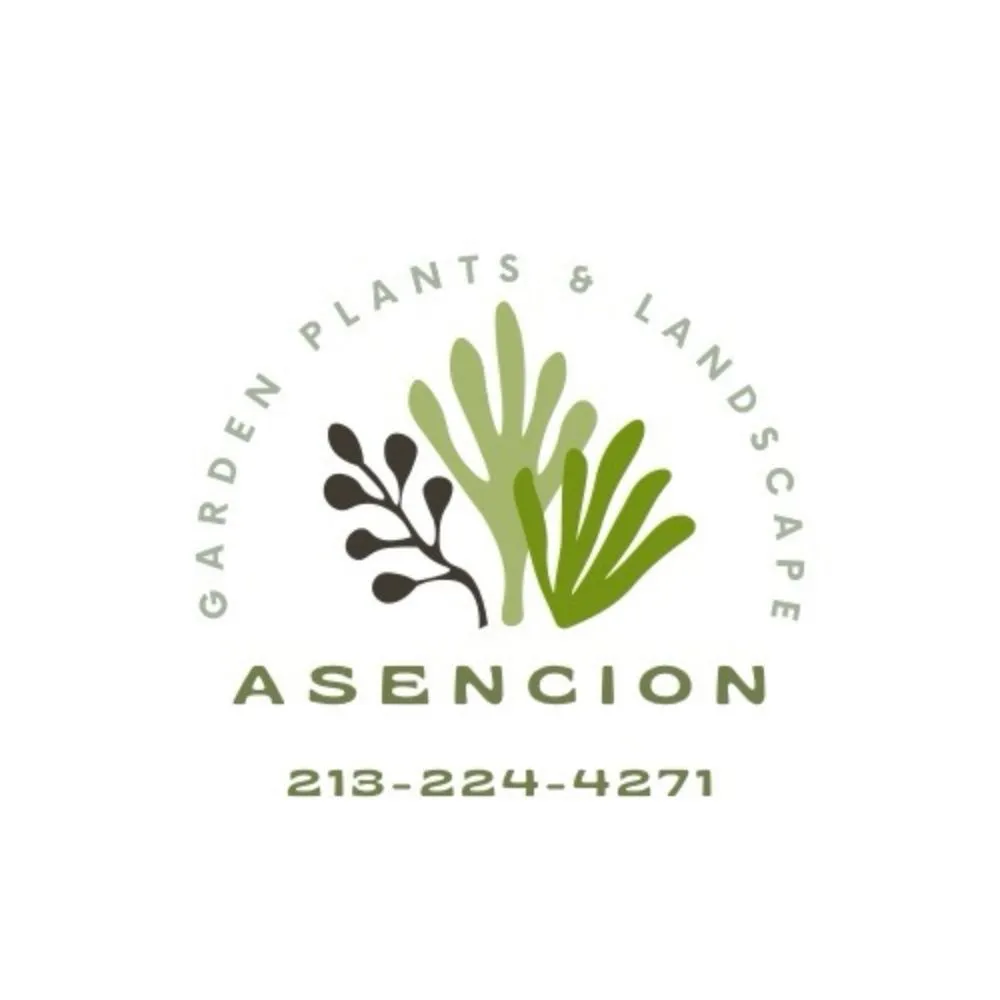 Local lawn mowing service for beautiful yards across Westminster, CA - Asencion Landscape