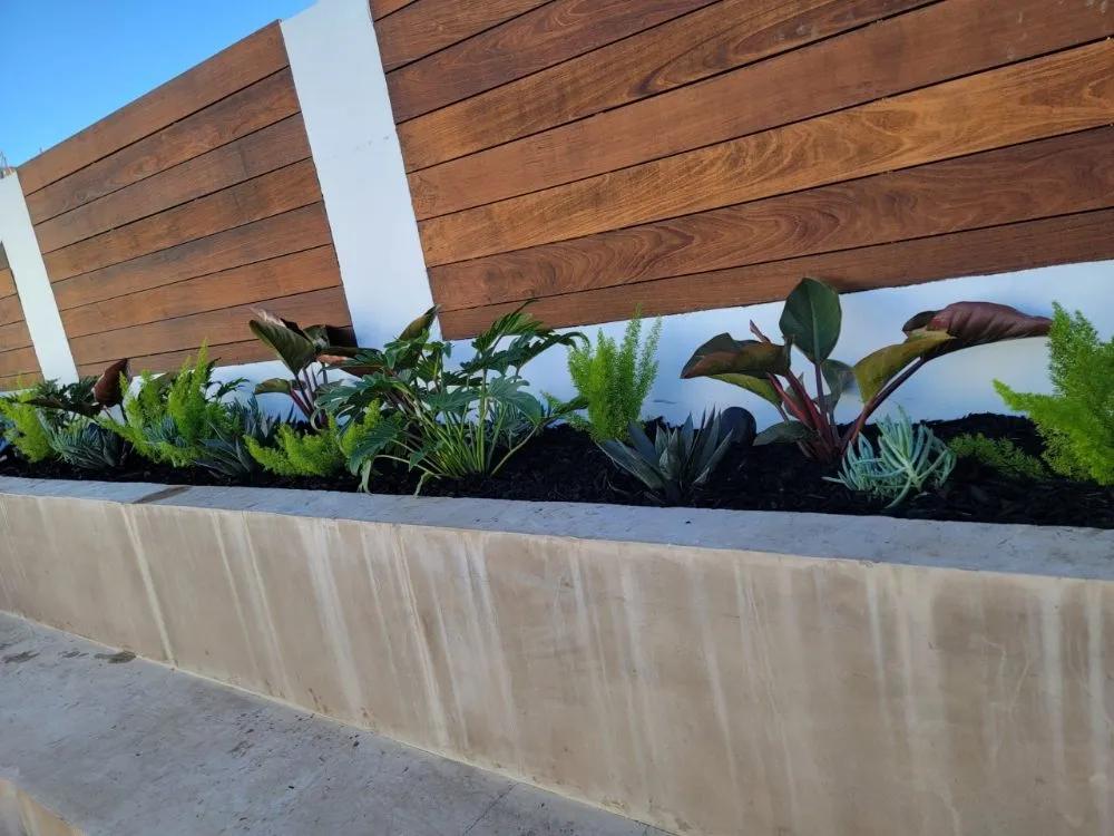 Expert lawn mowing service for year-round maintenance across Westminster, CA - Asencion Landscape