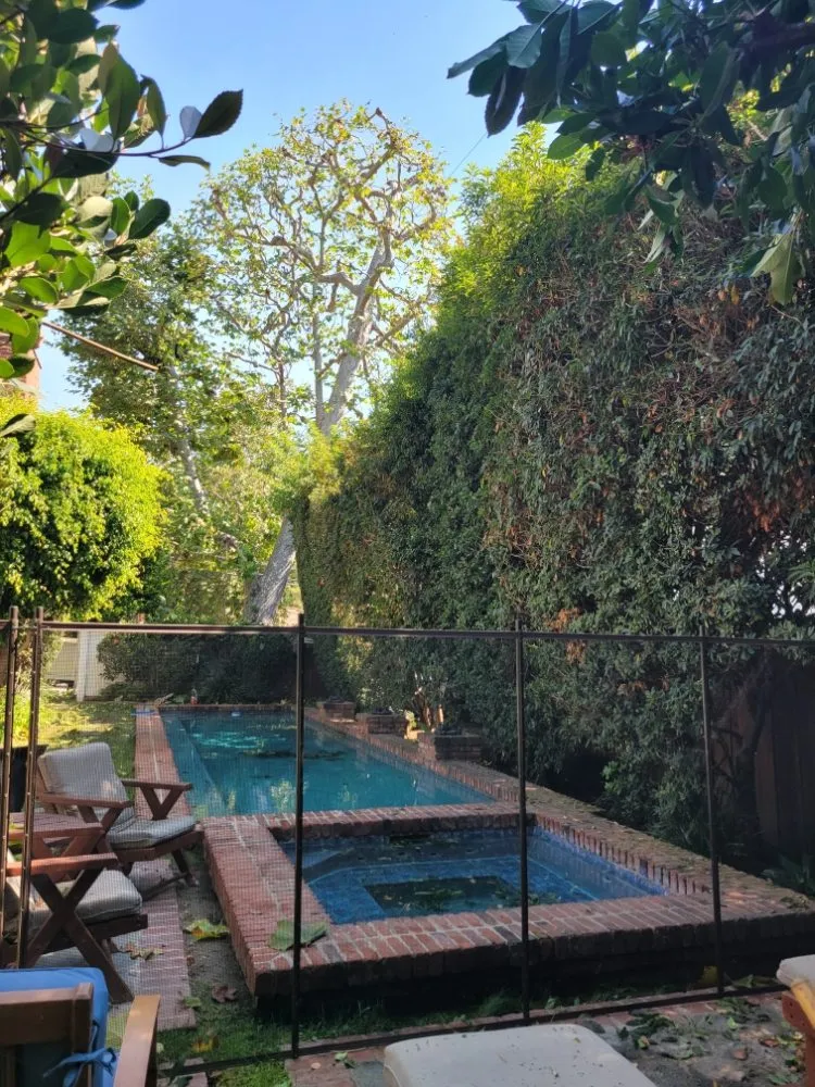 Affordable outdoor landscaping in Westminster, CA by Asencion Landscape