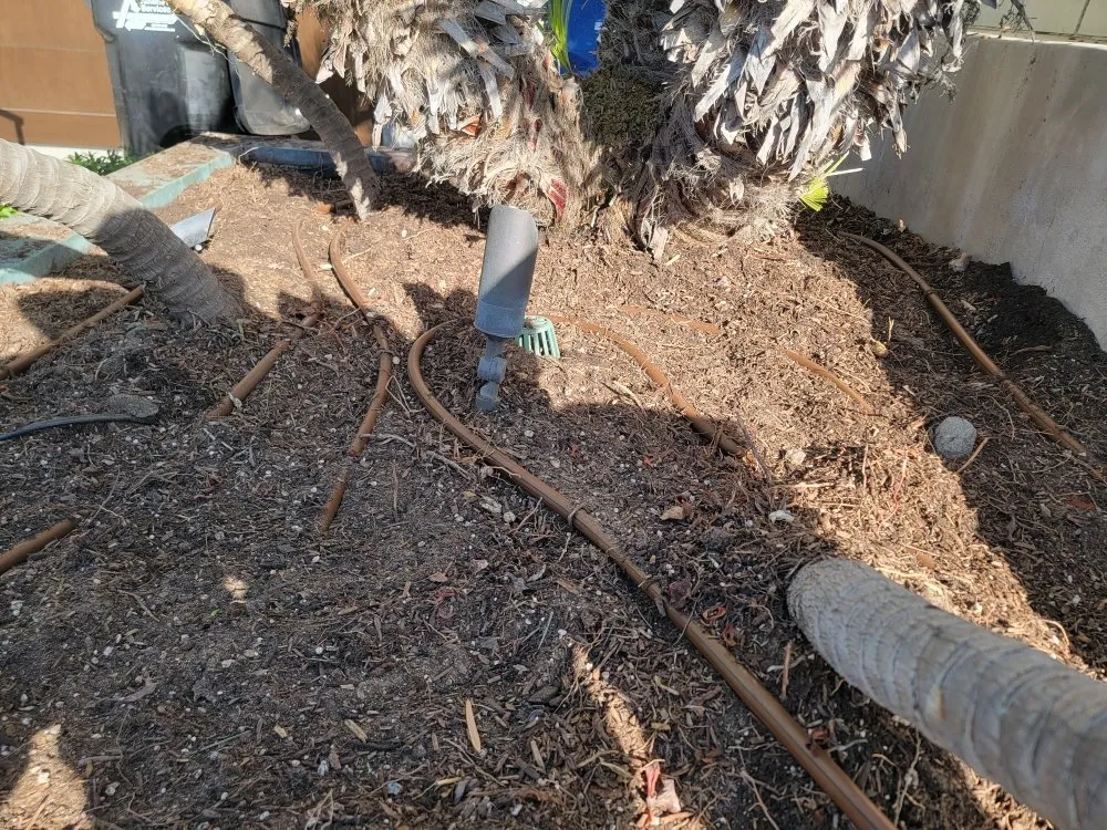 Reliable landscaping services for outdoor upgrades in Westminster, CA by Asencion Landscape