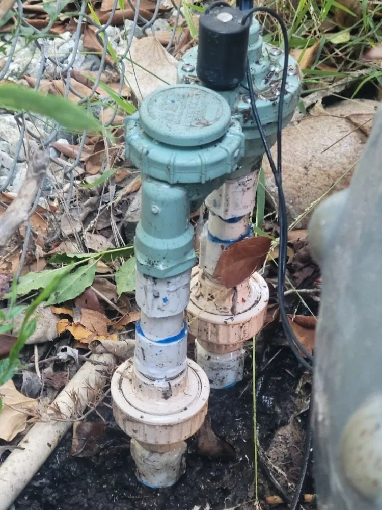 Local garden landscaping experts serving Westminster, CA - Asencion Landscape