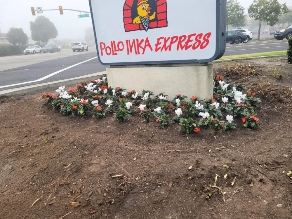 Professional lawn mowing service in Westminster, CA by Asencion Landscape