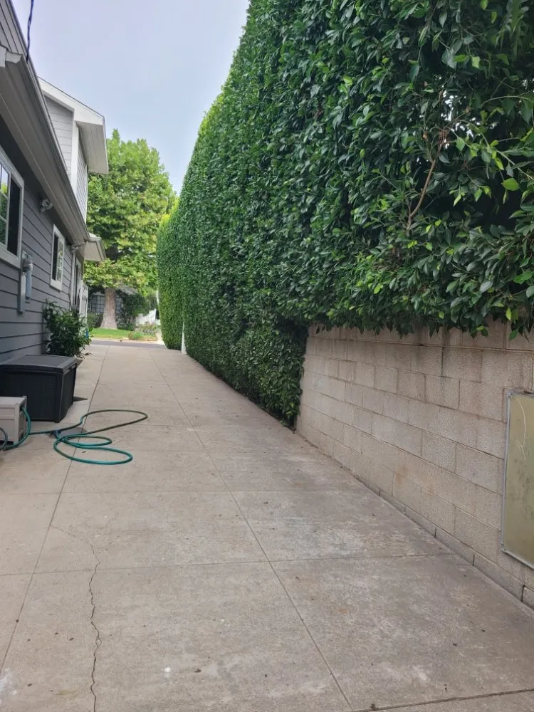 Trusted landscape design for residential properties in Westminster, CA by Asencion Landscape