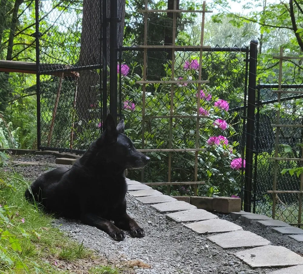 Professional outdoor landscaping experts serving Everett, WA - Asgardian Yard Care