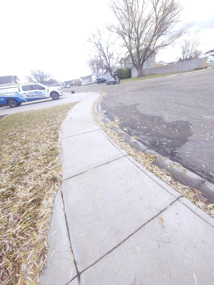 Professional lawn care service in Boise, ID by Ash & Tray Lawn And Building Maintenance