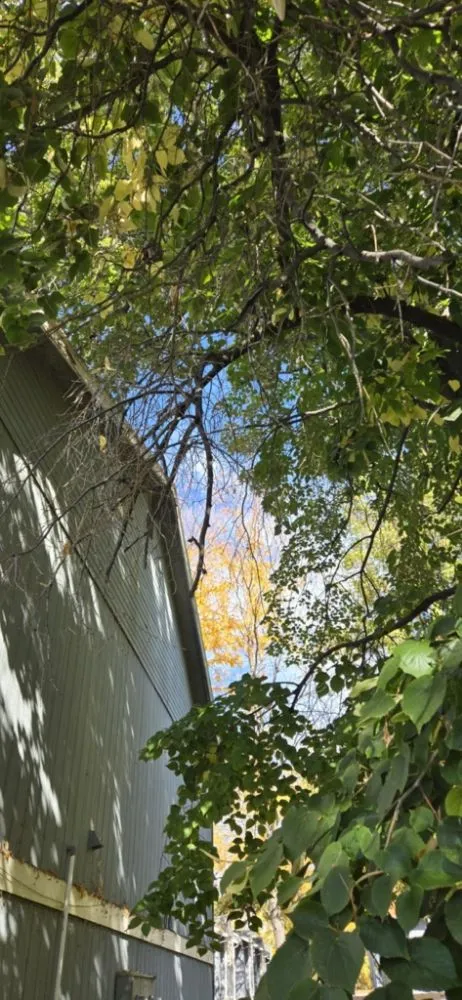 Local outdoor landscaping experts serving Boise, ID - Ash & Tray Lawn And Building Maintenance