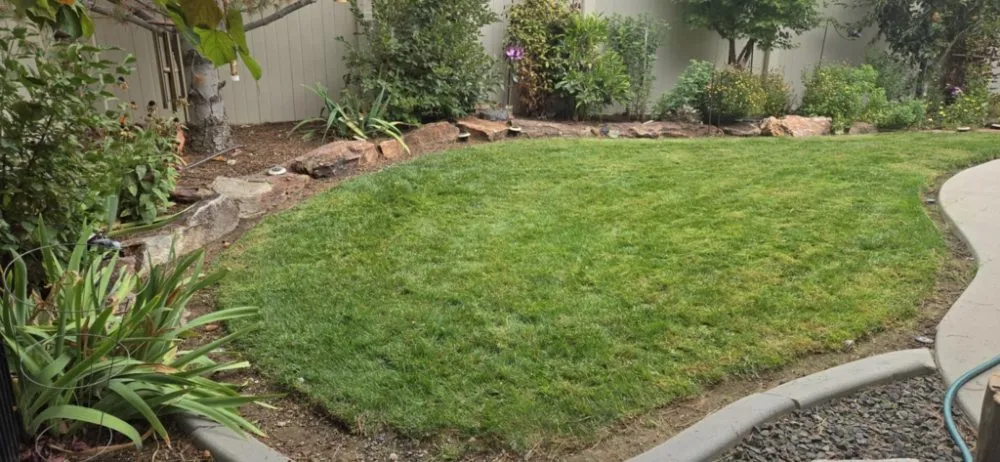 Professional residential landscaping in Boise, ID - Ash & Tray Lawn And Building Maintenance