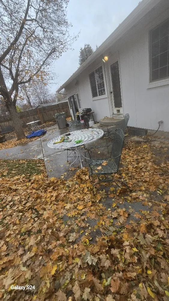 Reliable lawn care service in Boise, ID - Ash & Tray Lawn And Building Maintenance