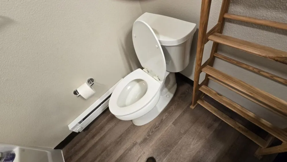 Professional yard cleanup service in Boise, ID - Ash & Tray Lawn And Building Maintenance