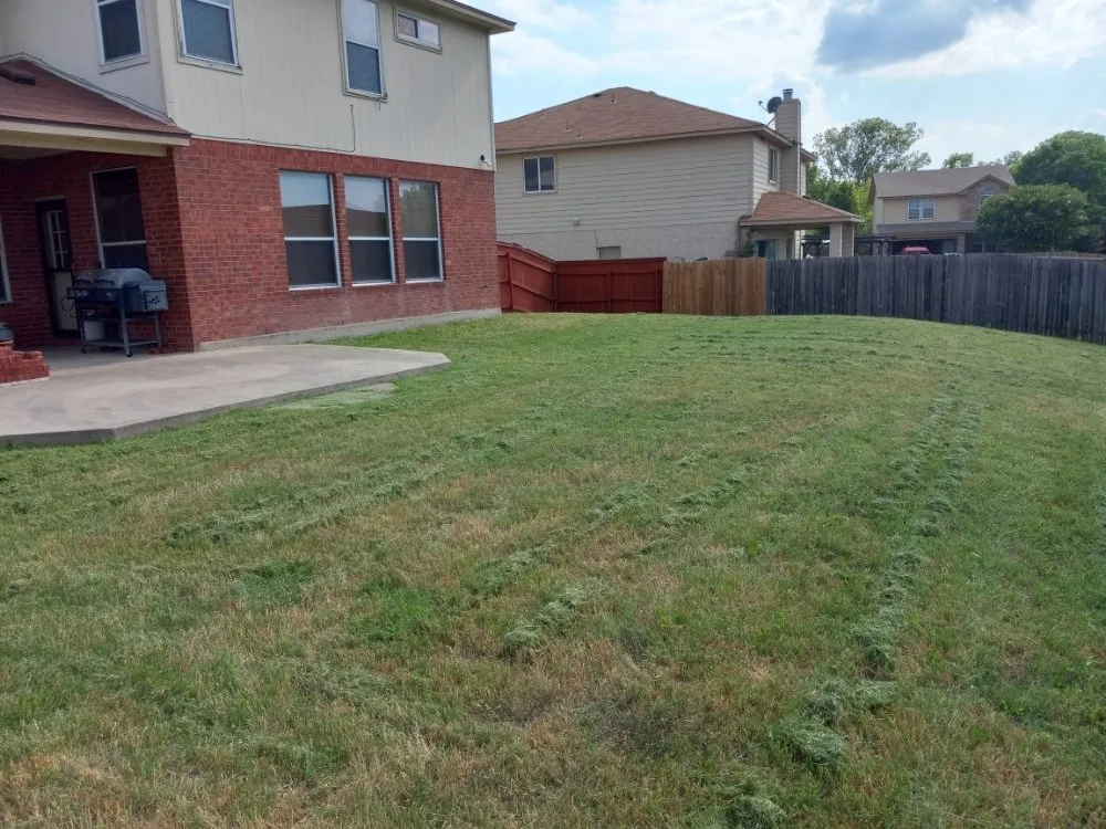 Local lawn care service experts serving Santa Clarita, CA - Ash Family Landscaping and Cleaning Service