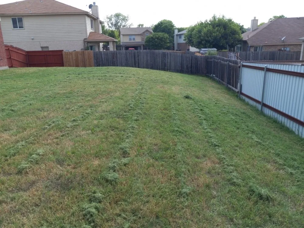 Professional yard maintenance experts serving Santa Clarita, CA - Ash Family Landscaping and Cleaning Service