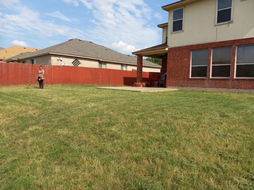 Professional lawn care service in Santa Clarita, CA - Ash Family Landscaping and Cleaning Service