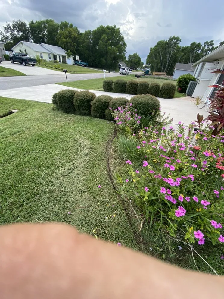 Affordable lawn care service for outdoor upgrades across Fort Pierce, FL - Ash Landscaping